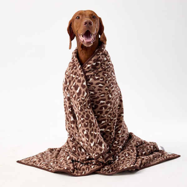 The Floofy Fleece Reversible Dog Blanket | Mocha