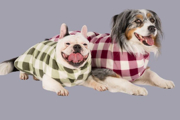 Best Fleece Dog Coats at Snoot Style.