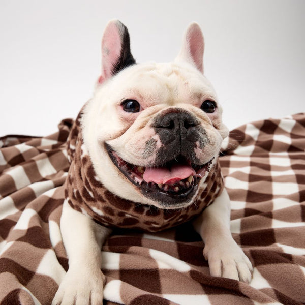 The Floofy Fleece Reversible Dog Blanket | Mocha