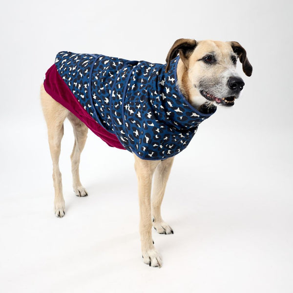 All Weather Layering Bundle