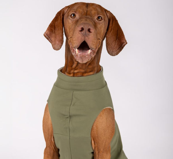 Snoot Style Dog Coat