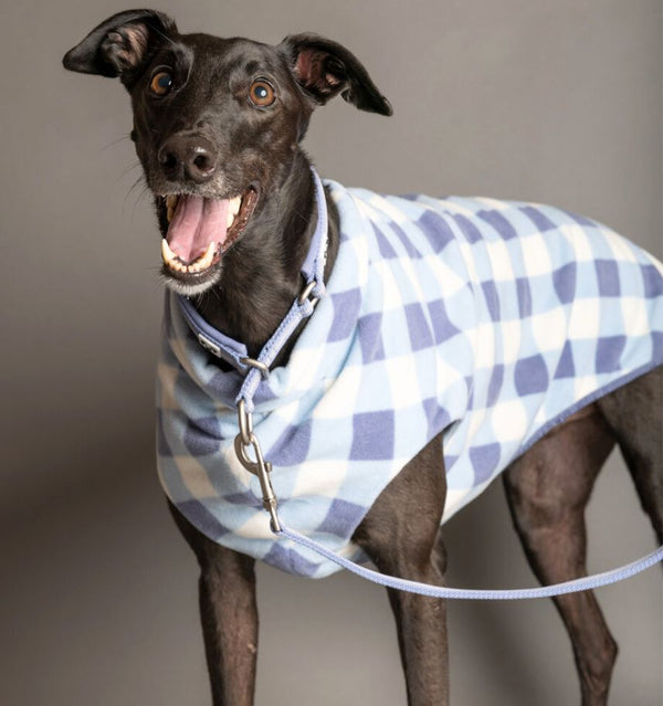 Snoot Style Dog Coat for Greyhounds