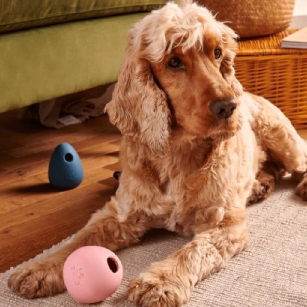 Dog Enrichment Toy | Wobble Ball | Pink