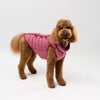 Brown dog wearing a pink puffer coat on a white background