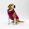 Dog wearing a maroon puffer vest on a white background