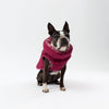 Dog wearing a maroon puffer coat on a white background