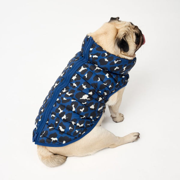 Snoot Style Dog Puffer Jacket.