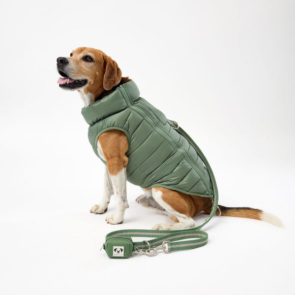 Dog Puffer Jacket with Harness Hole.