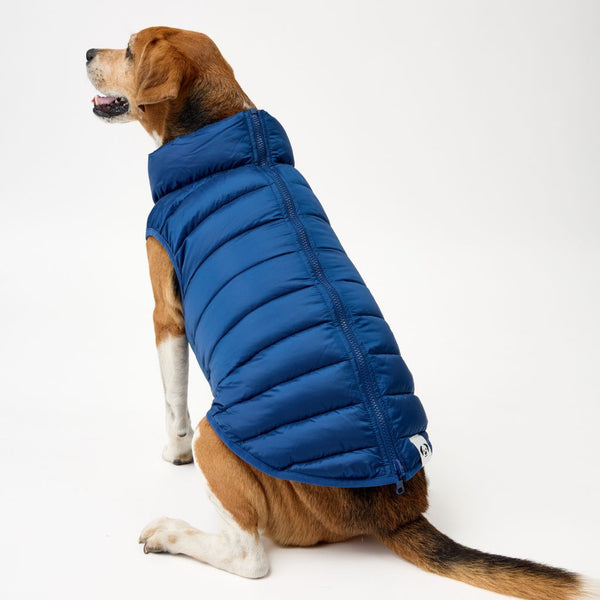 Snoot Style Easy On/Off Dog Puffer Jacket.