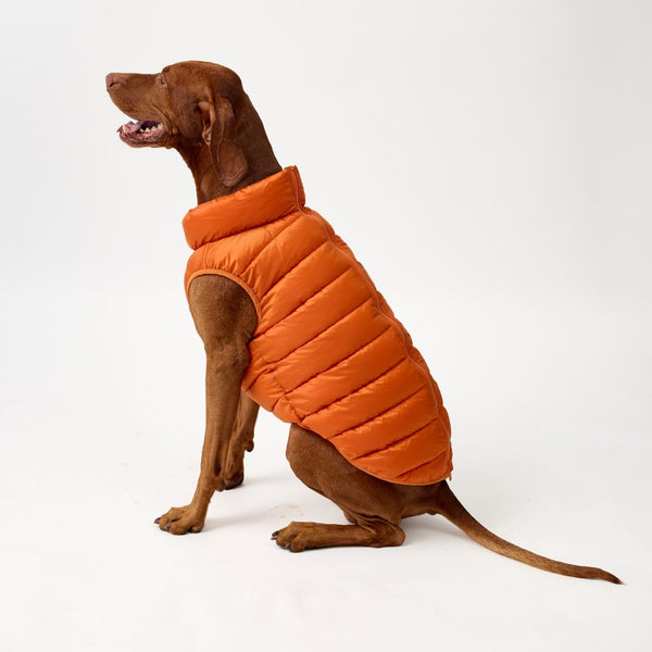 Snoot Style Dog Puffer Jacket for Large Dogs.