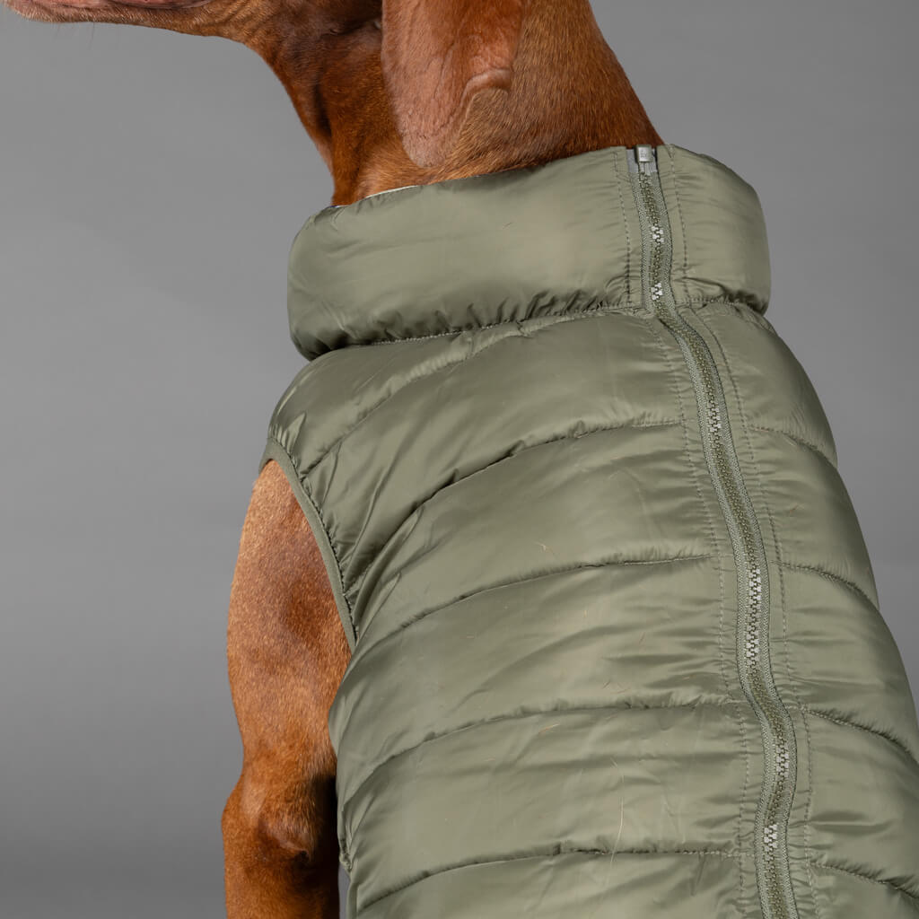Dog Puffer Jacket with Back Zip.