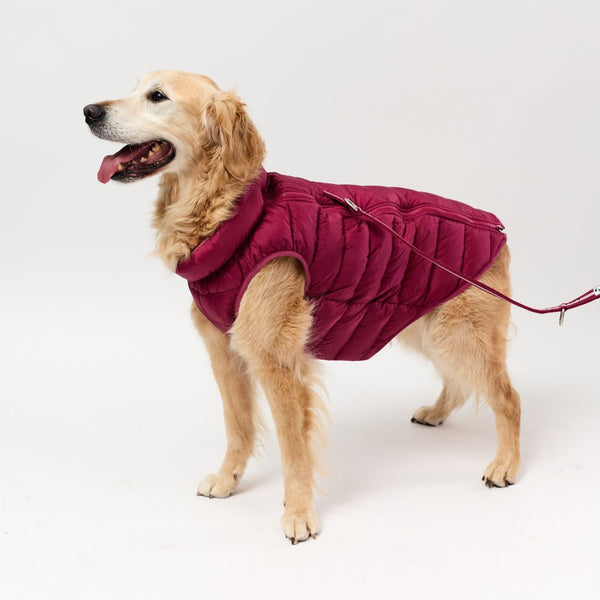 Harness Hole Reversible Dog Puffer Jacket | Berry