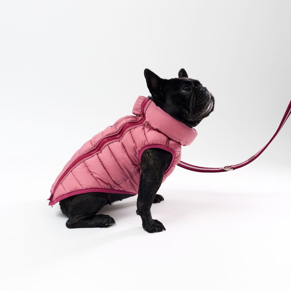 Harness Hole Reversible Dog Puffer Jacket | Berry