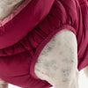 Close-up of a dog wearing a red puffer coat with a blurred background