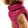 Dog wearing a pink puffer vest on a white background