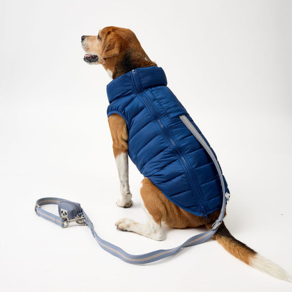 Dog Puffer Jacket with Harness Hole Snoot Style.