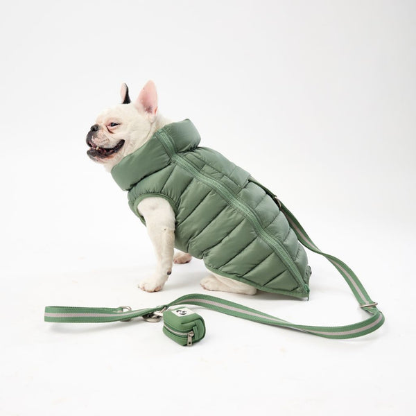 Green Dog Puffer Jacket for Small Dogs.
