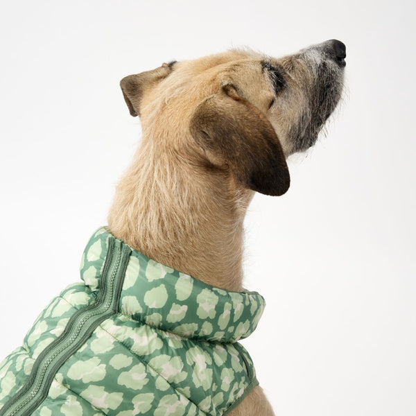 Snoot Style Padded Dog Puffer Jacket.