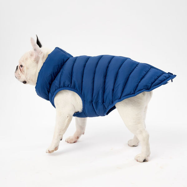 Snoot Style Dog Puffer Jacket for Small Dogs.