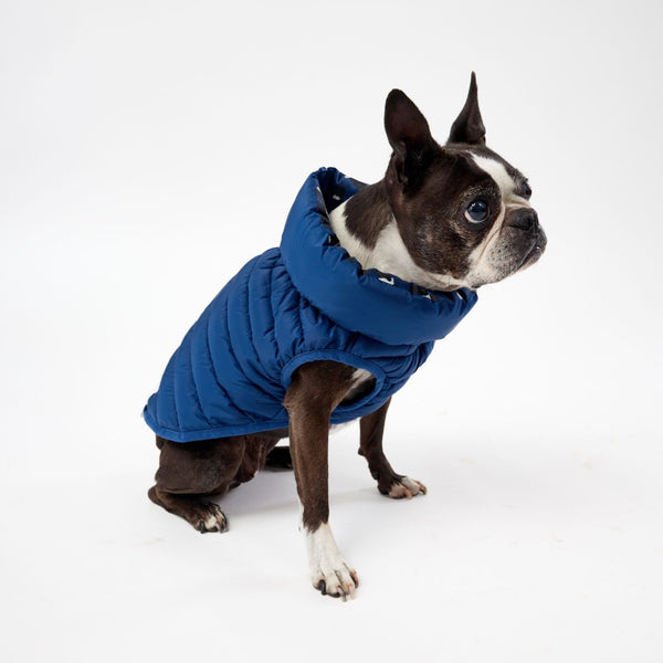 X-Small Dog Puffer Jacket.