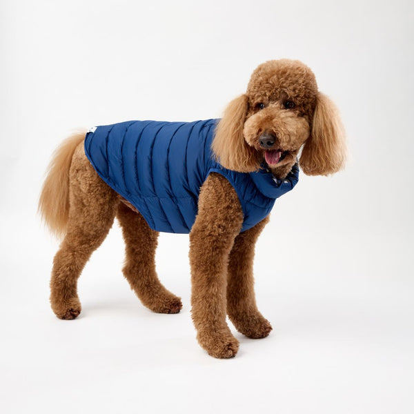 XL Dog Puffer Jacket