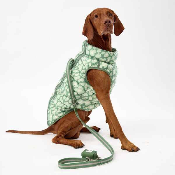 Printed Dog Puffer Jacket with Harness Hole.
