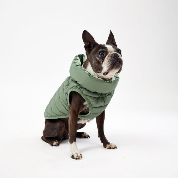 Snoot Style XSmall Dog Puffer Jacket.