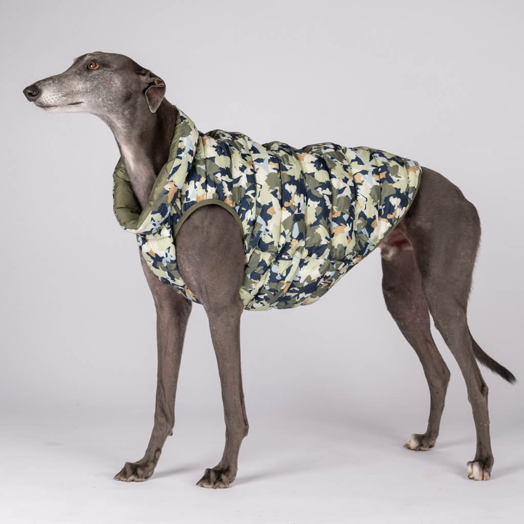 Dog Puffer Jacket for Greyhounds.