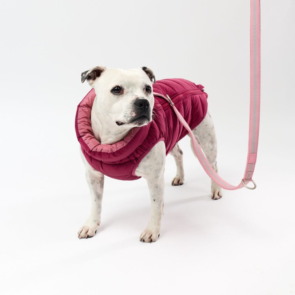 Harness Hole Reversible Dog Puffer Jacket | Berry