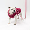 Harness Hole Reversible Dog Puffer Jacket | Berry