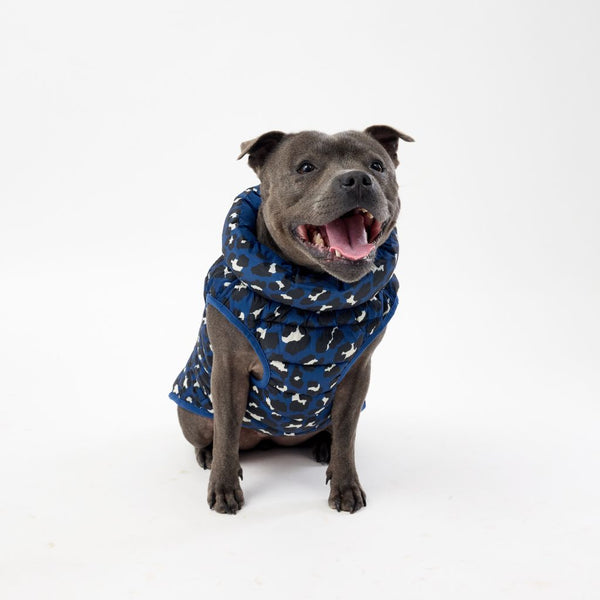 Snoot Style printed Dog Puffer Jacket