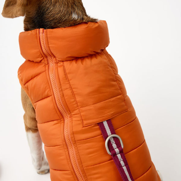 Snoot Style Dog Puffer Jacket with Harness Hole.