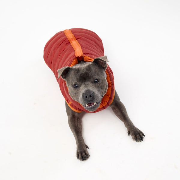 Snoot Style Medium Dog Puffer Jacket.