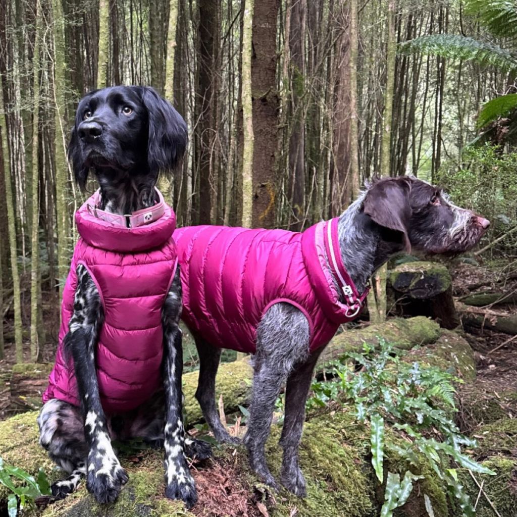 Snoot Style dog puffer jackets