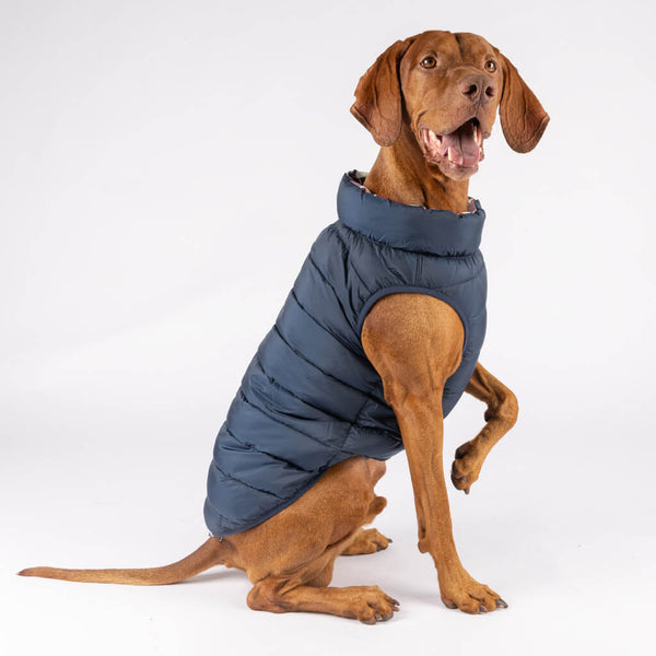 Found My Animal Puffer with Hood - Navy main image 1