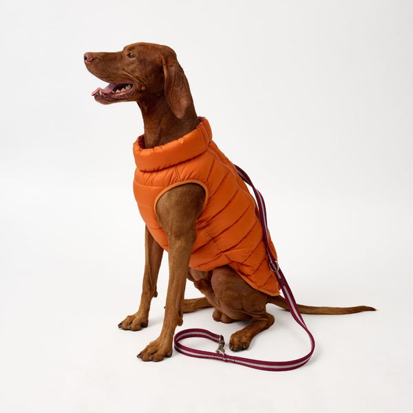 Snoot Style Dog Puffer Jacket for Harness.