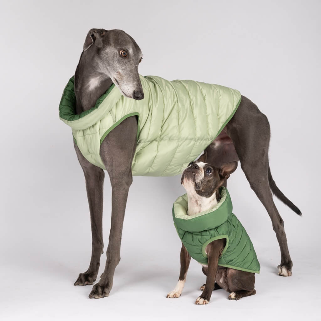 Dog Puffer Jacket for Big Dogs and Small Dogs Snoot Style