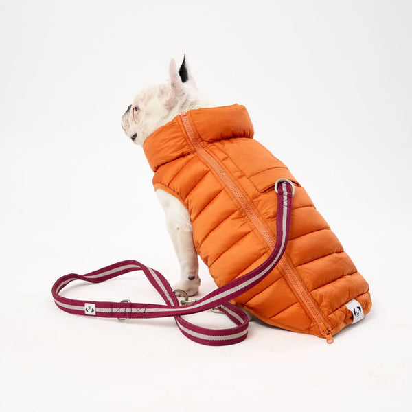Snoot Style Dog Puffer Jacket with Harness Hole.