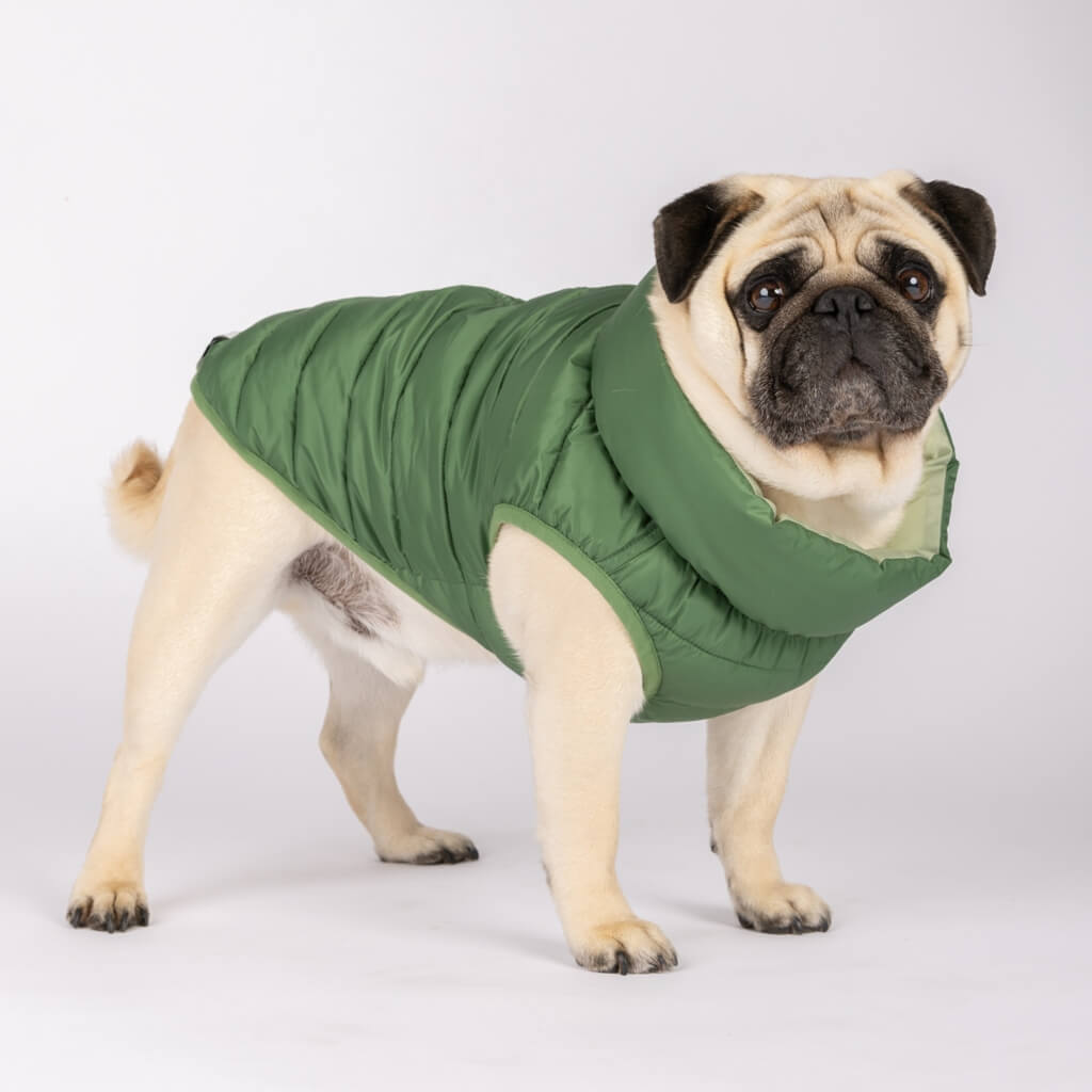 Dog Puffer Jacket for Small Dogs Snoot Style