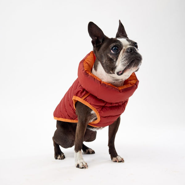 Snoot Style Xtra Small Dog Puffer Jacket