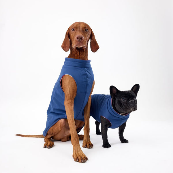 Dog Raincoat for all size dogs Snoot Style.