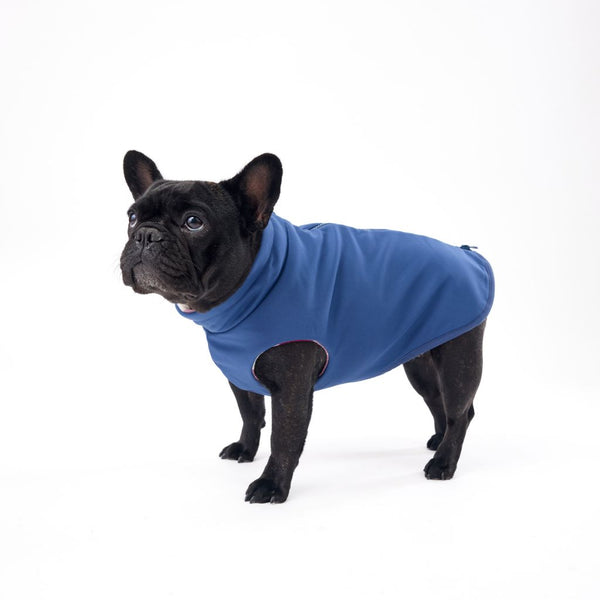 Best warm dog raincoat Snoot Style.