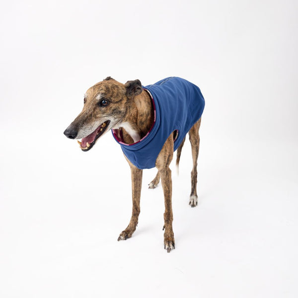 Winter Dog Raincoat for Greyhounds Snoot Style.
