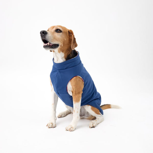 Dog Raincoat with the best coverage Snoot Style.