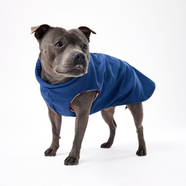 Dog Raincoat with the best coverage Snoot Style.