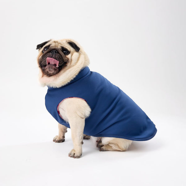 Best Fitting Dog Raincoat Snoot Style.