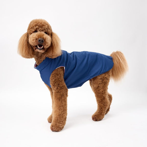 Fleece Lined Dog Raincoat for Large Dogs Snoot Style