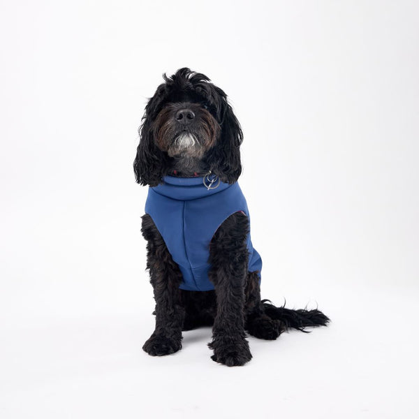 Dog Raincoat for Winter for XSmall Dogs Snoot Style.