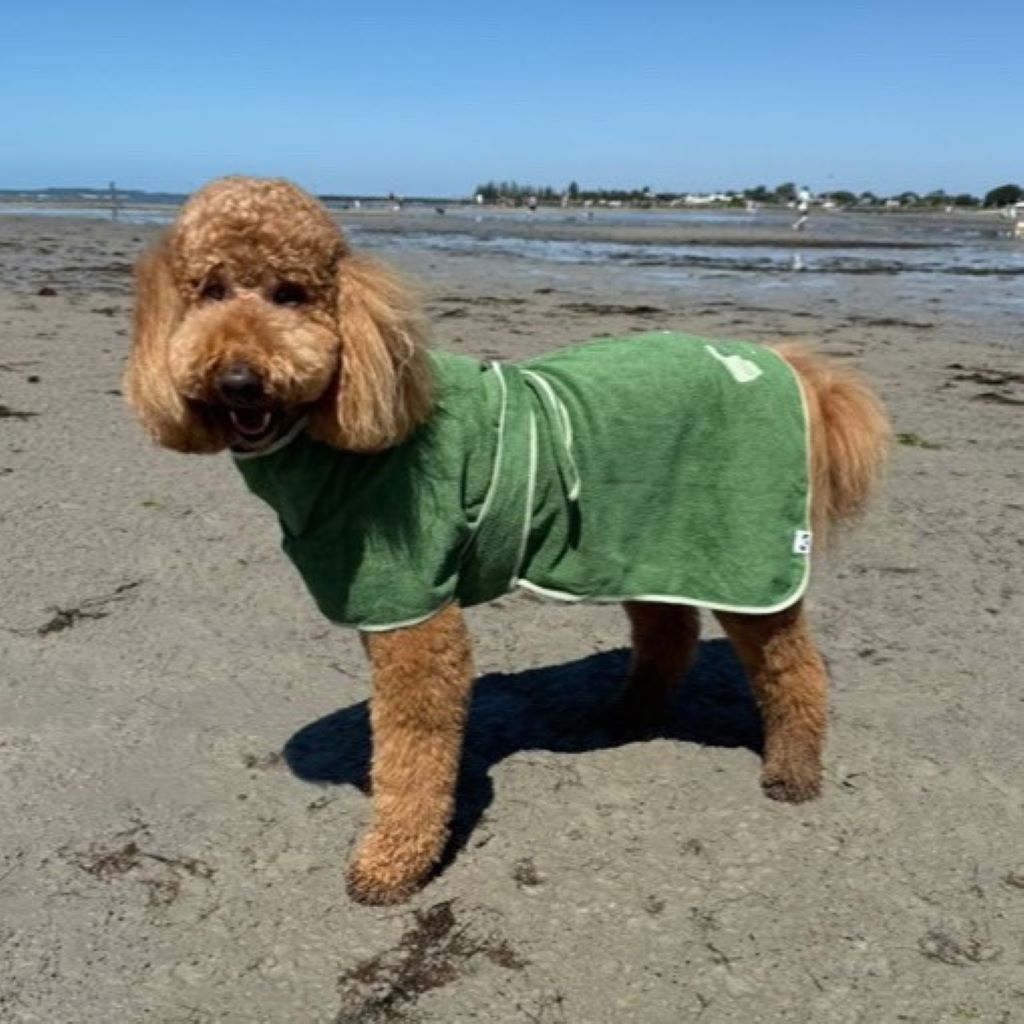 Dog Beach Robe Snoot Style