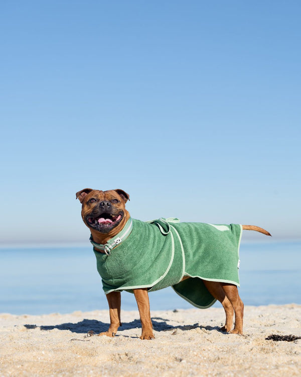 Organic Cotton Dog Towel Robe from Snoot Style